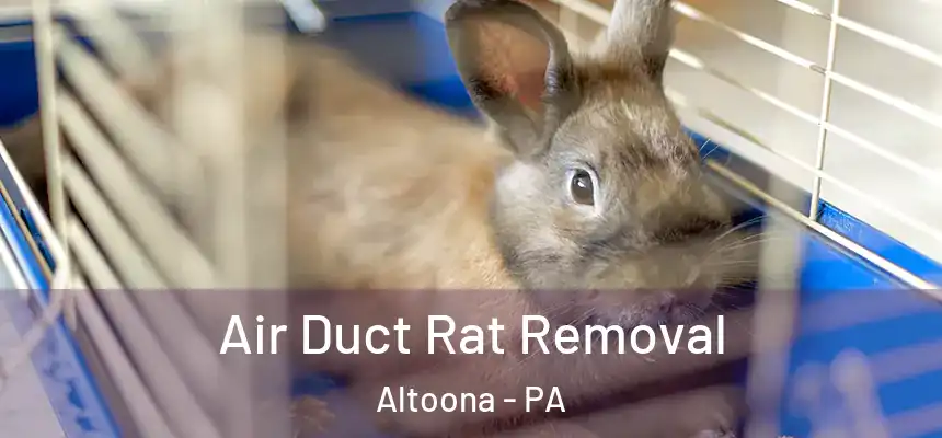  Air Duct Rat Removal Altoona - PA