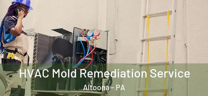  HVAC Mold Remediation Service Altoona - PA