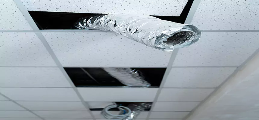 Affordable HVAC Sanitizing After Pest Removal in Altoona