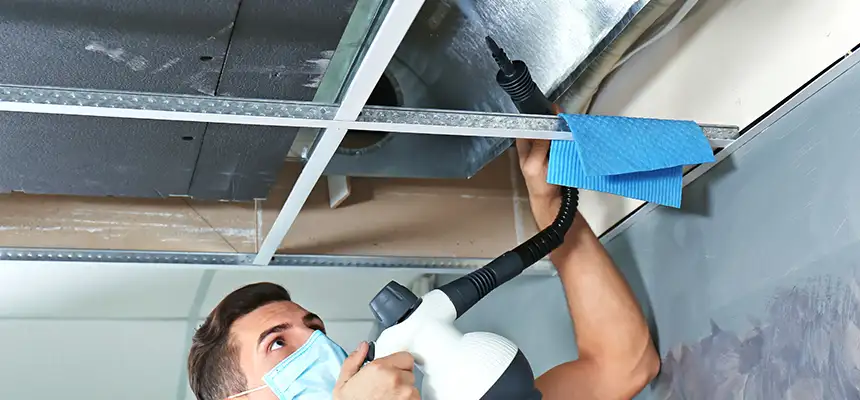 Our Air Duct Rodent Removal Services in Altoona, PA
