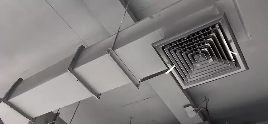 Our Pest Removal From Ducts Services in Altoona, PA