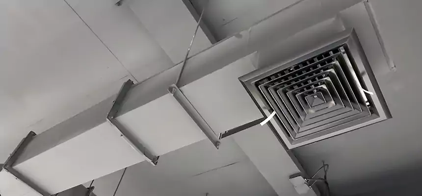 Our Rodent Droppings In Vents Services in Altoona, PA