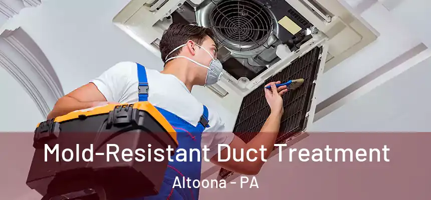  Mold-Resistant Duct Treatment Altoona - PA
