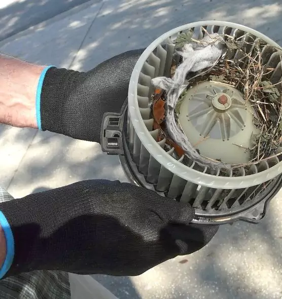 About Air Duct Rat Removal in Altoona, PA