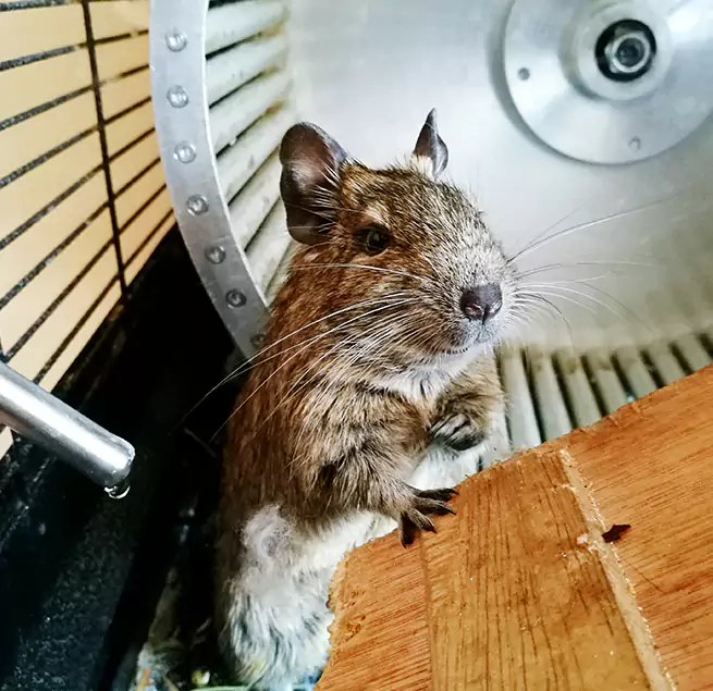 Why Homeowners & Businesses Trust Us Altoona, PA